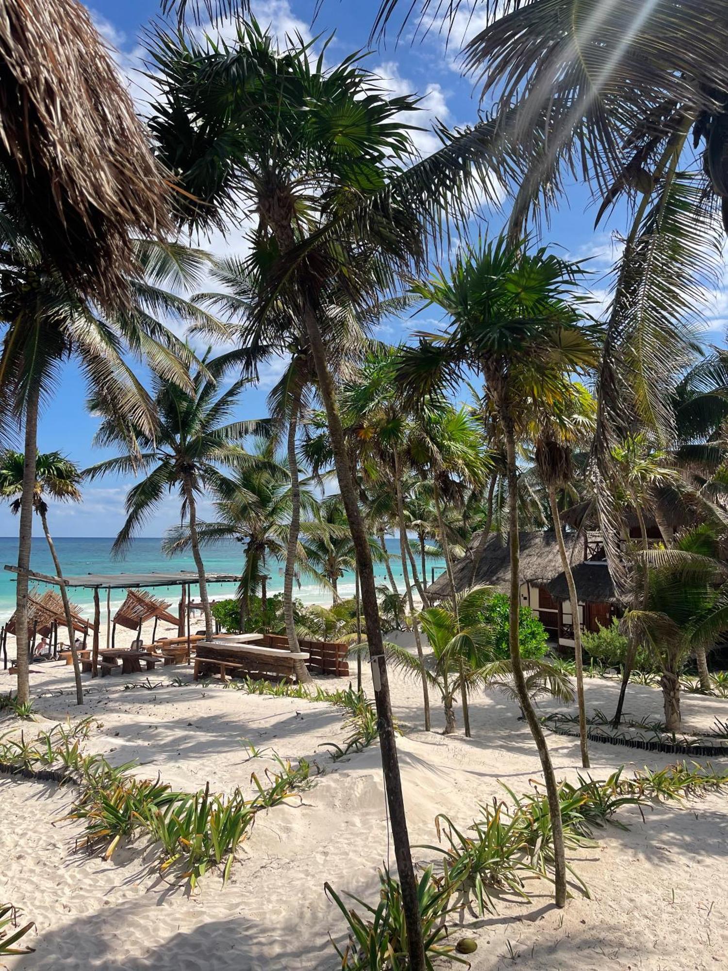 Bt Live Tulum Located At The Party Zone Ξενοδοχείο Εξωτερικό φωτογραφία